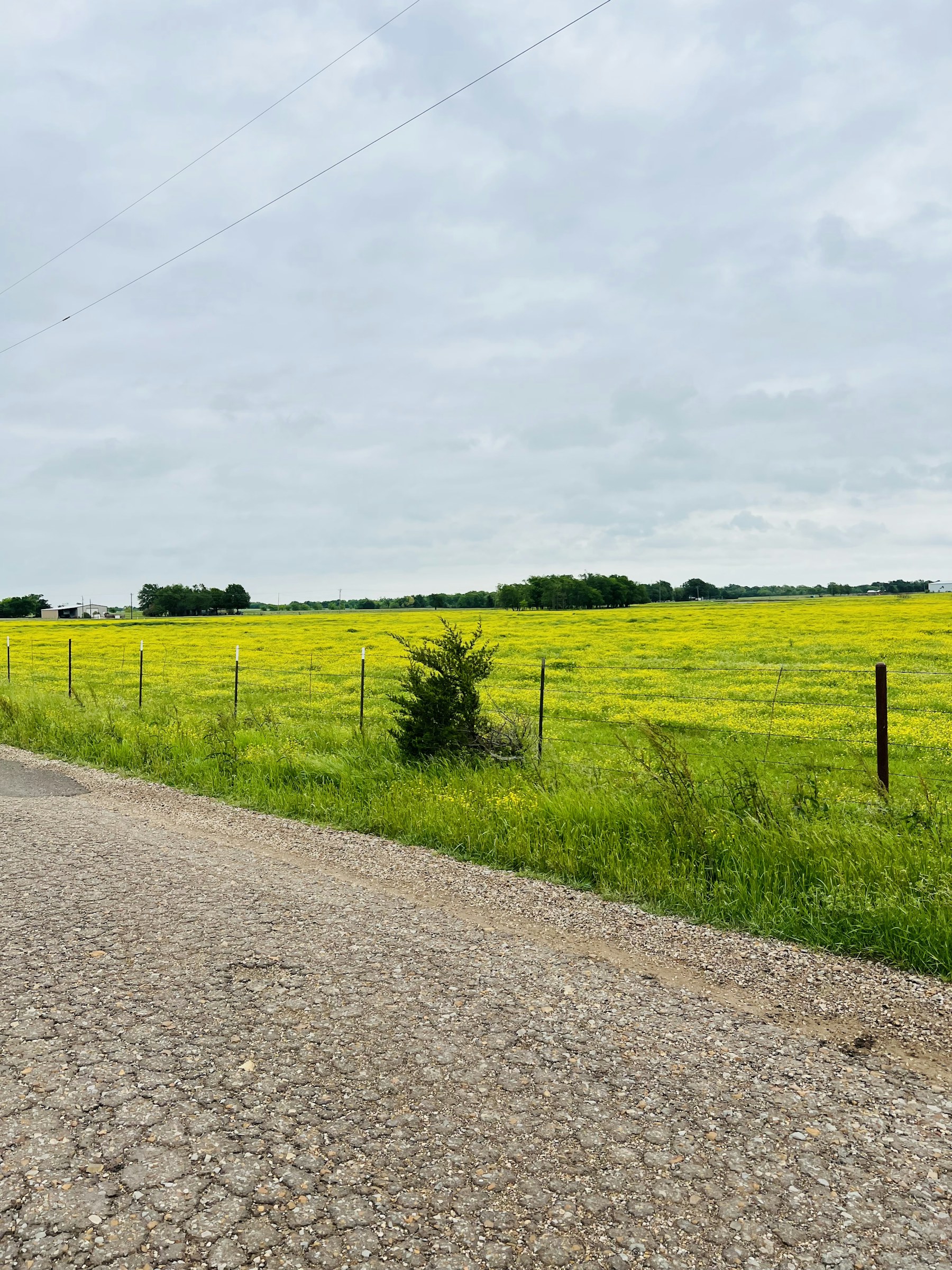 A dirt road beside open fields